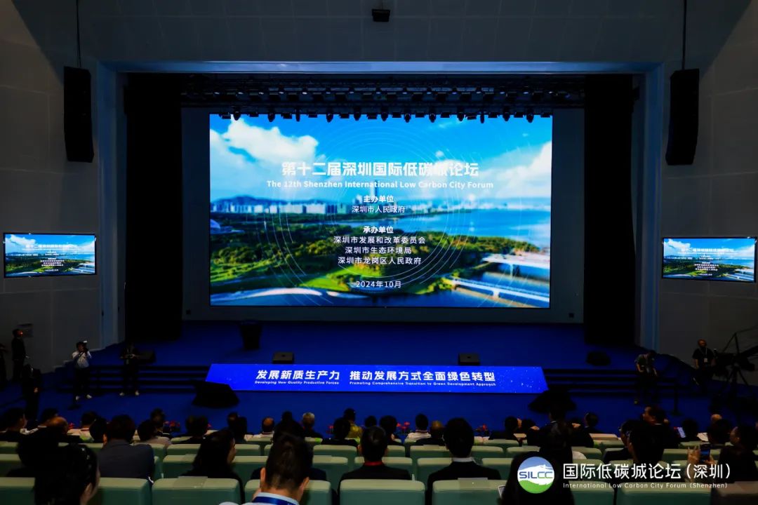 1732175531112978.jpg 3.jpg