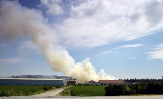 数智化服务丨大气模型：创新驱动，守护环境安全